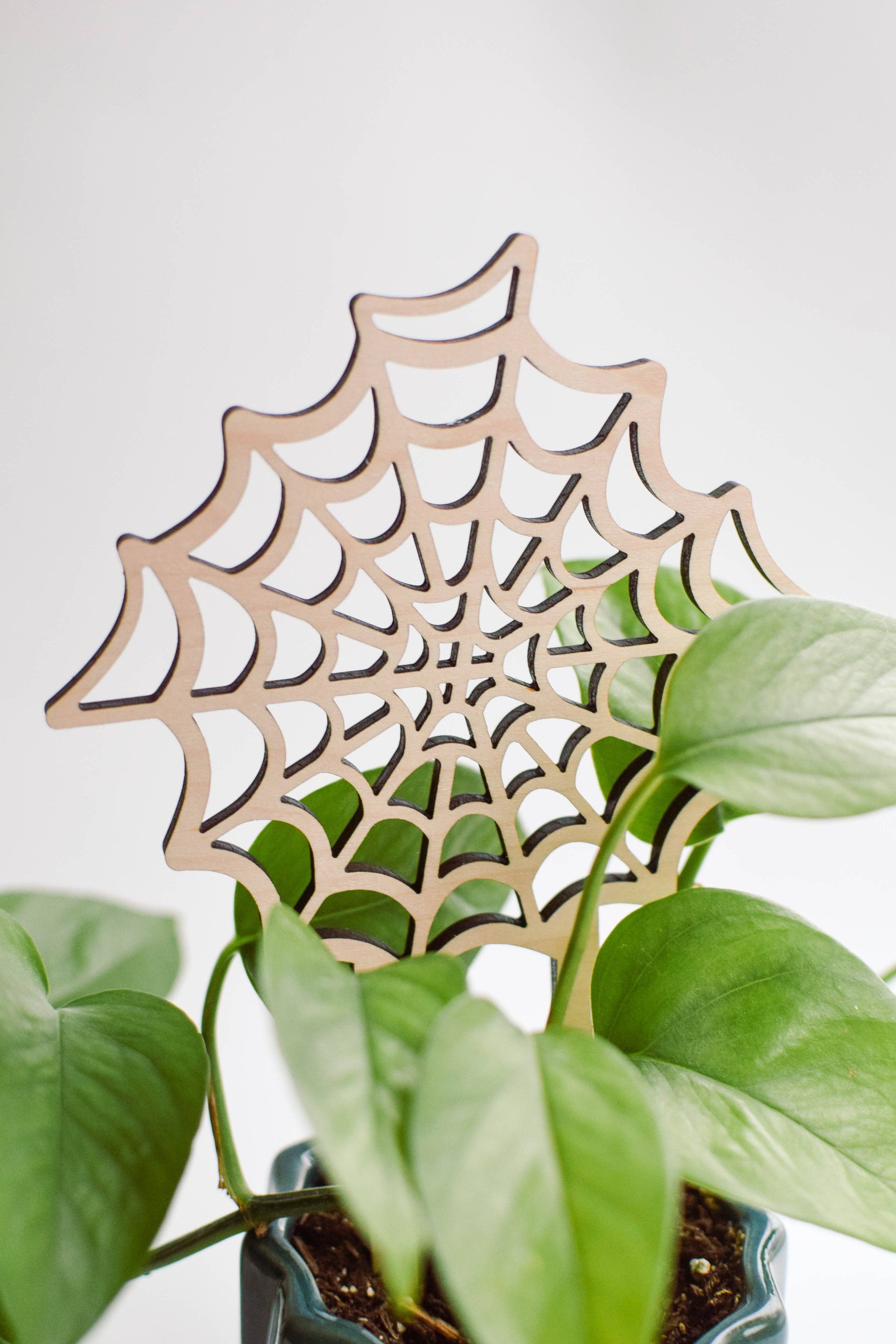 PlantsNsht – Latada por atacado – Trellis de plantas de teia de aranha3