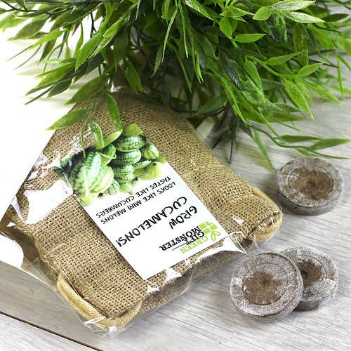 BEEcycle – wholesale Plant seeds – Grow Your Own Mini Melons Set