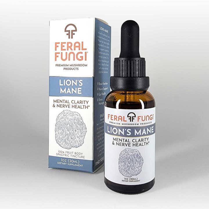 Feral Fungi - Wholesale Tincture - Lion's Mane (Hericium erinaceus) Spagyric Tincture