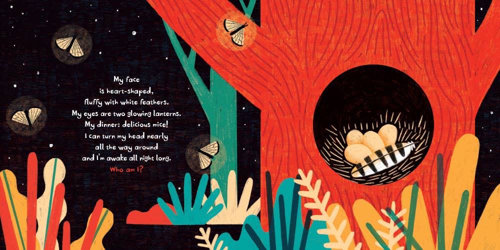 Barefoot Books - Wholesale Baby & Toddler Book (0-2) - Tweet!3