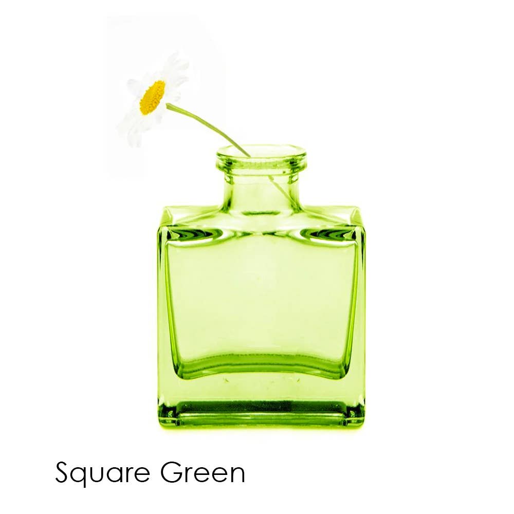 Chive - Wholesale Vase - Loft  Colorful Transparent Bud Vase Set Oval, Round, Square13