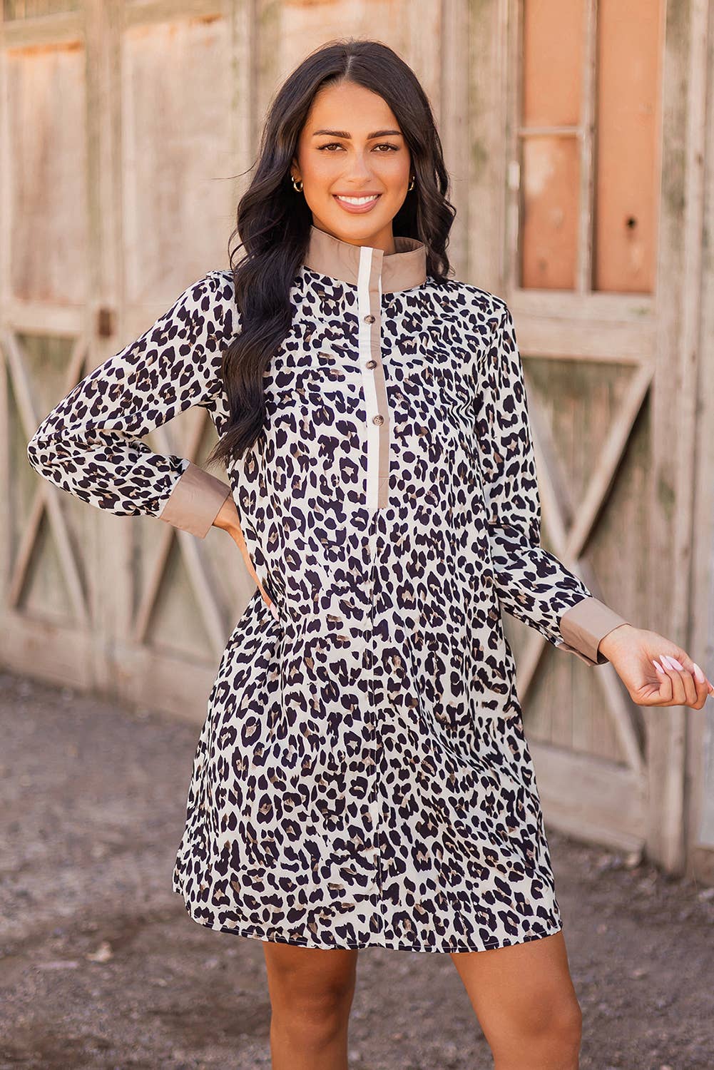 As Shown Button Striped Collar Leopard Print Long Sleeve Flared Dress for wholesale on Faire2