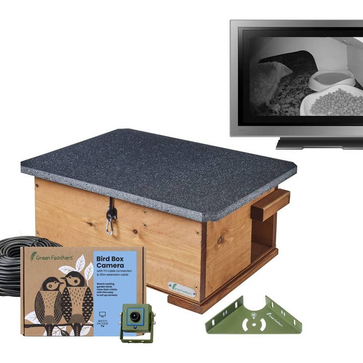 Pacote de Câmera de TV Hedgehog com conexão a cabo por atacado de Green Feathers