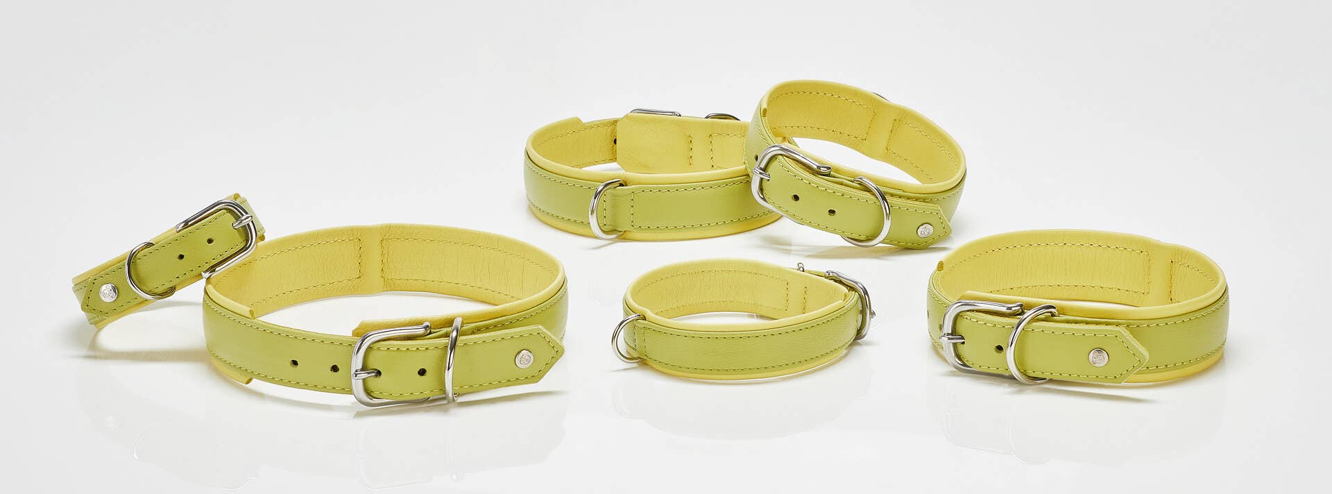 LABONI - Volentis GmbH - Wholesale Pet Collar - Dog - AMICI dog collar1