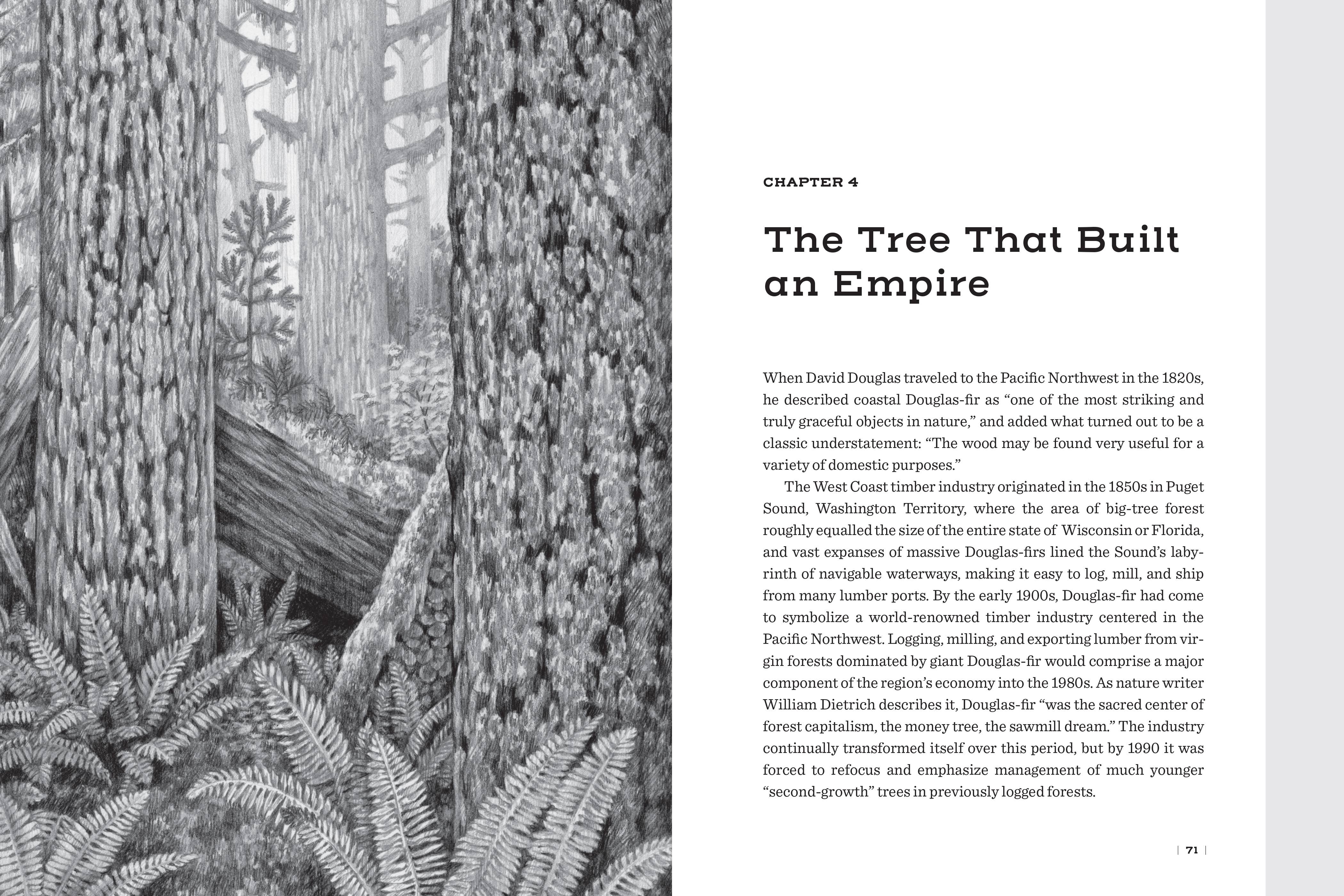 Mountaineers Books - Wholesale Nature & Outdoors - Douglas Fir: The Story of the West’s Most Remarkable Tree6