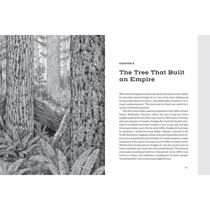 Mountaineers Books - Wholesale Nature & Outdoors - Douglas Fir: The Story of the West’s Most Remarkable Tree6