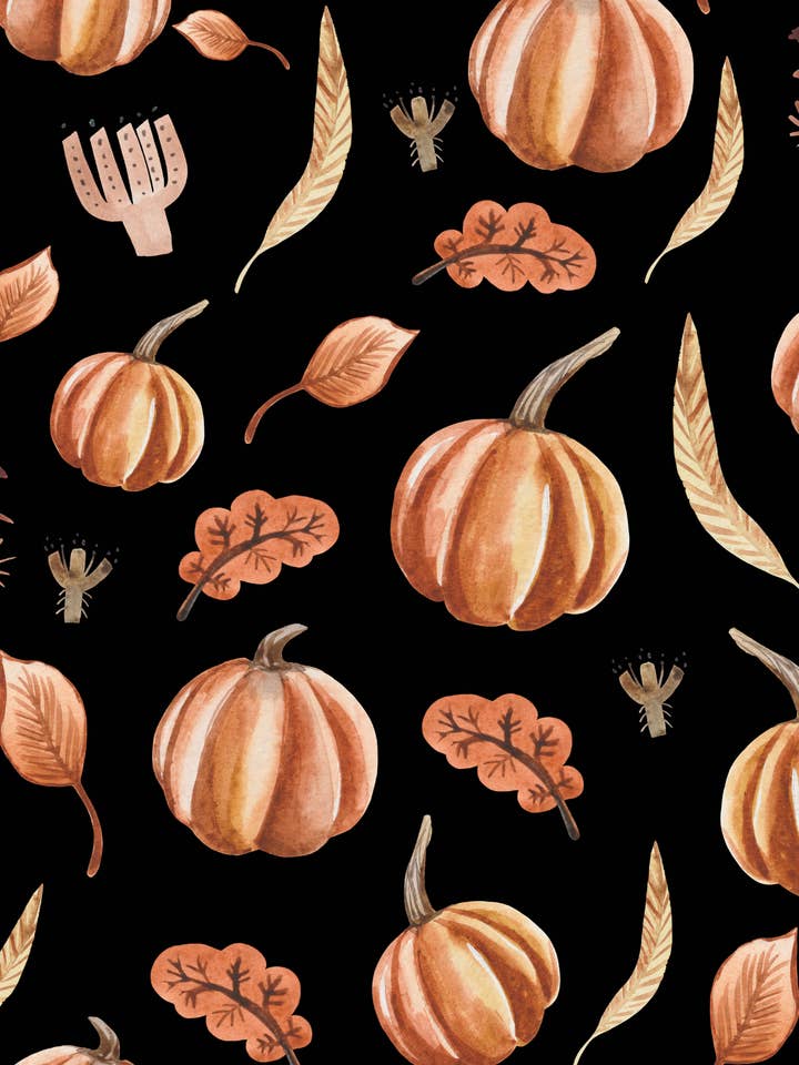 Citrouilles d'Halloween pour la vente par Blossom & Bloom