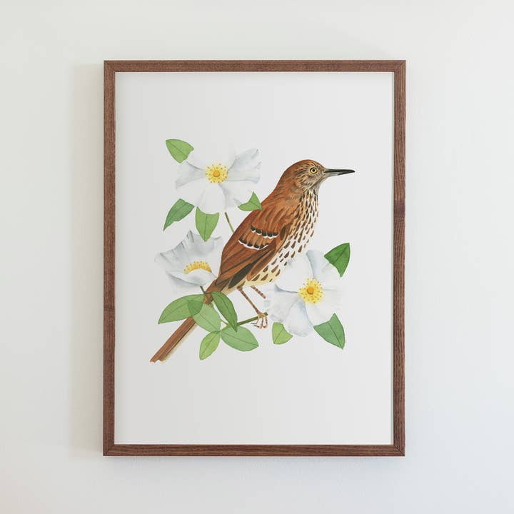Georgia Brown Thrasher Print for wholesale by 50 States of Beauty