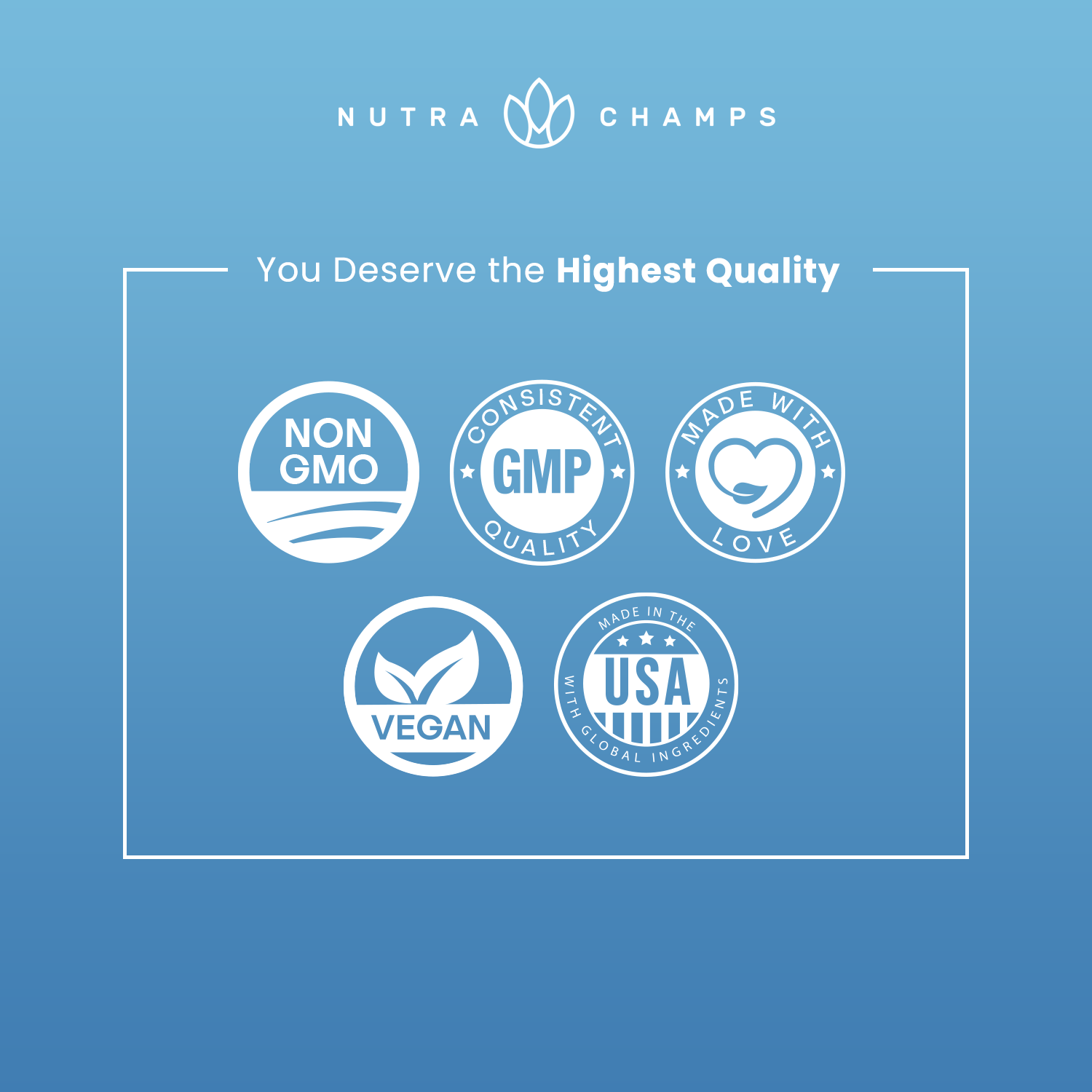 NutraChamps – Suplemento/vitamina oral por atacado – L-Theanine | Apoia o Humor, Foco, Alívio do Stress7