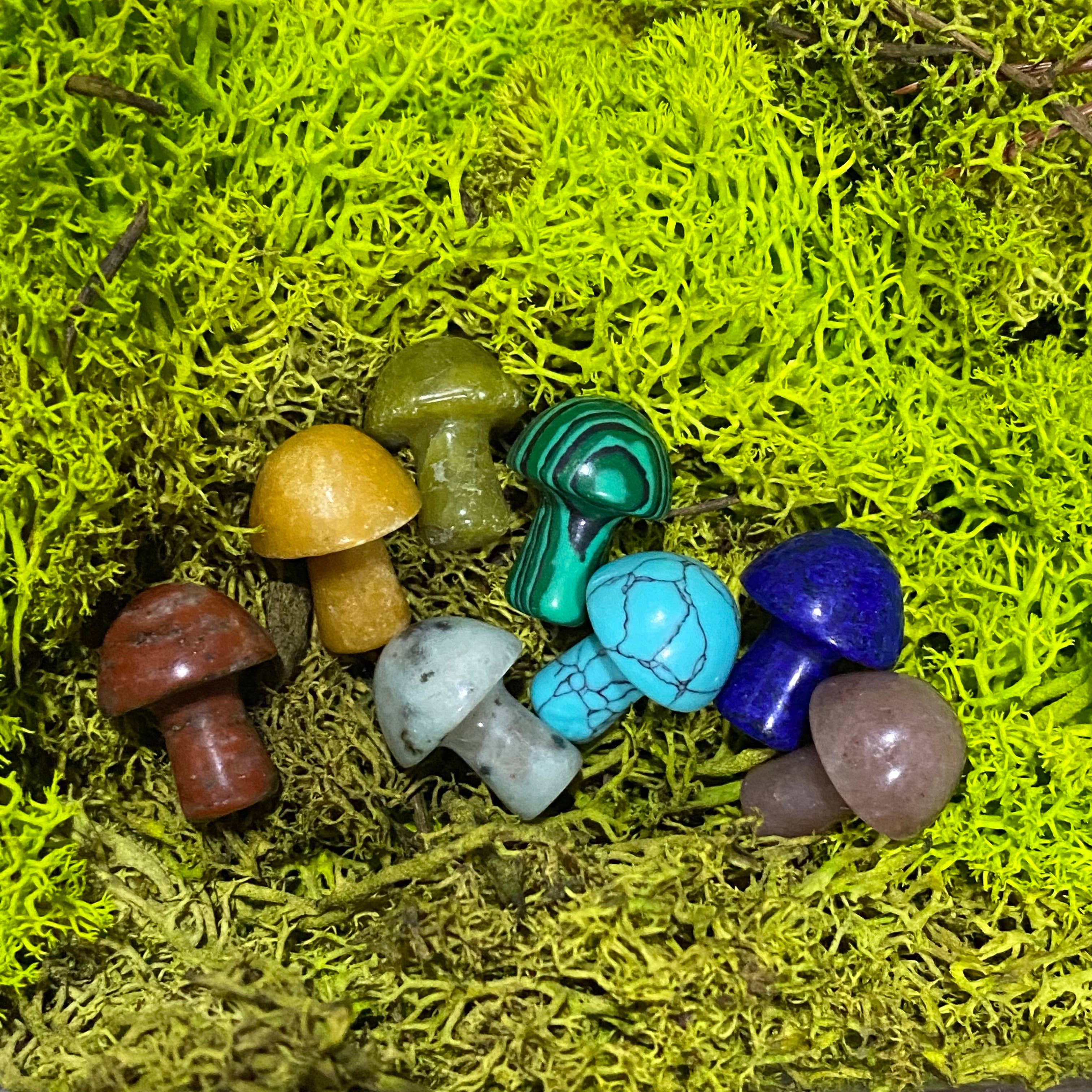 Wax Apothecary - Wholesale Spiritual Stone/Crystal - 🍄 Crystal Mini Mushroom Stone Assortment 🍄6
