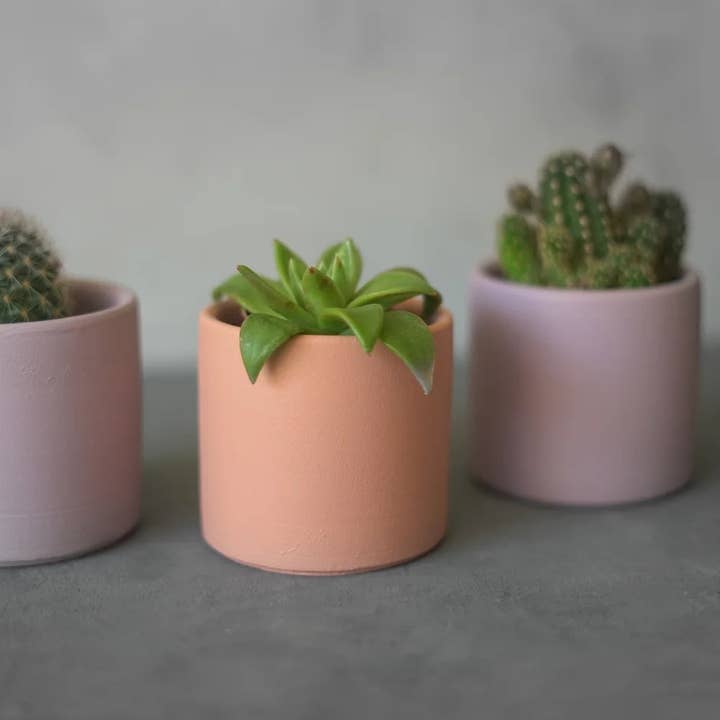 CerAmor Cerâmica - Wholesale Plant Pot - Pots for cacti3