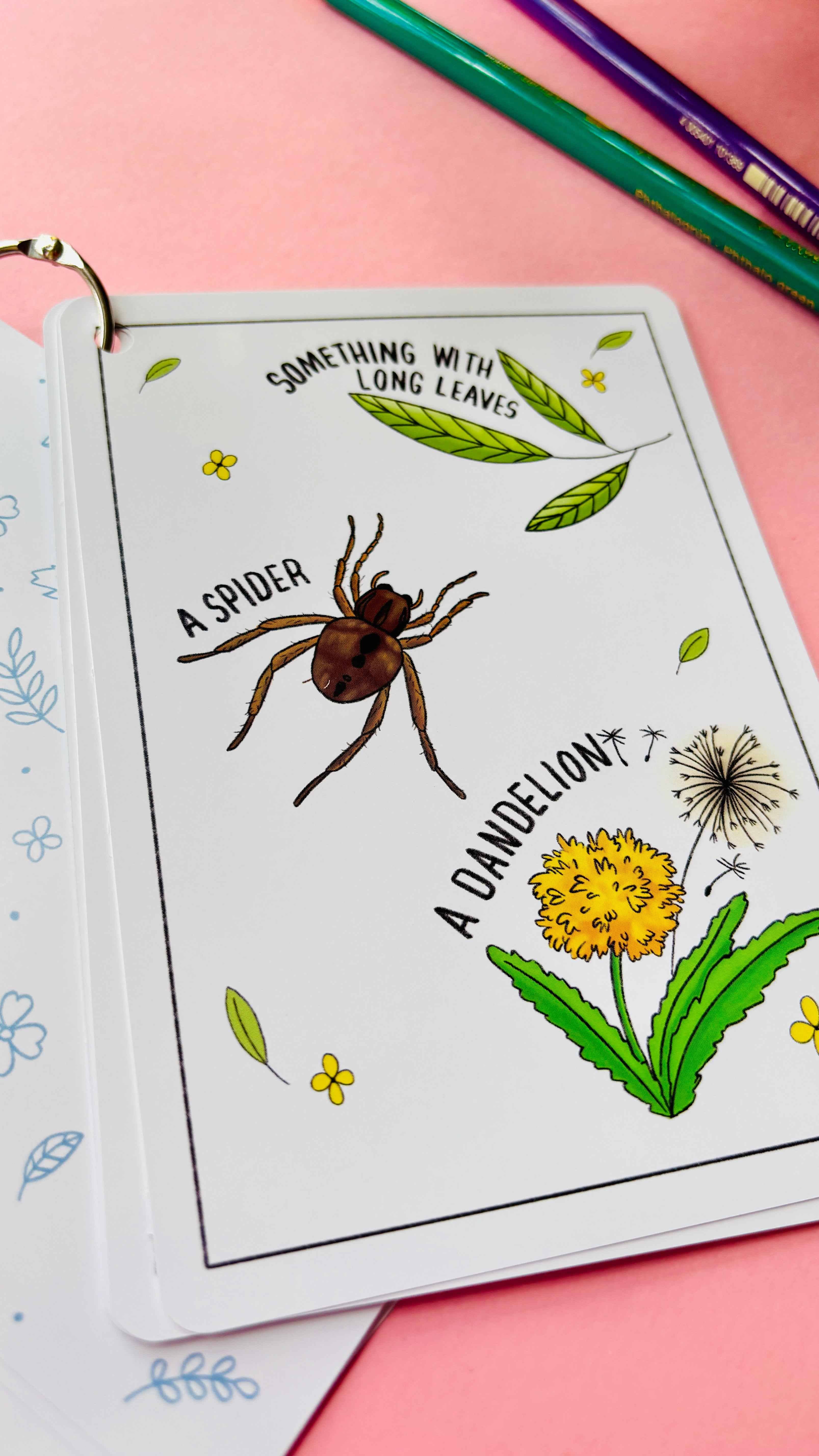 Pixiecraft - Wholesale Learning Cards - Kids & Baby - Nature Explorer Scavenger Hunt Cards- Illustrated Educational Activity Cards for Kids4