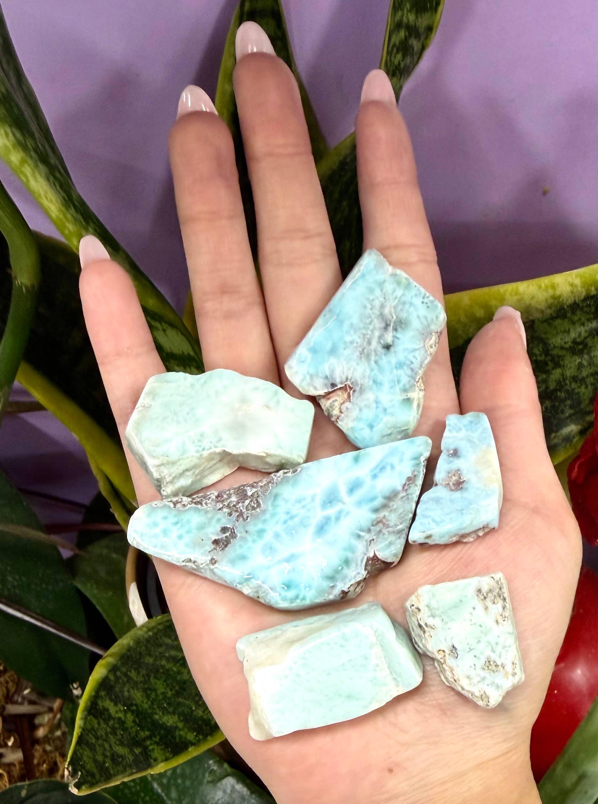 KayleeNYC – wholesale Spiritual stone/crystal – Wholesale Lot 1 lb Natural Larimar Slabs Crystal Healing11