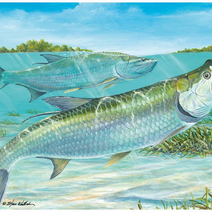 American Products Group, Inc - Wholesale Cutting Board - 12" x 15" Silver King Tarpon Magic Slice Gourmet Size0