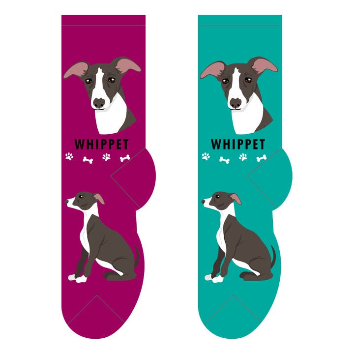 FOOZYS Fun Socks - Wholesale Socks - Women's - Whippet Socks