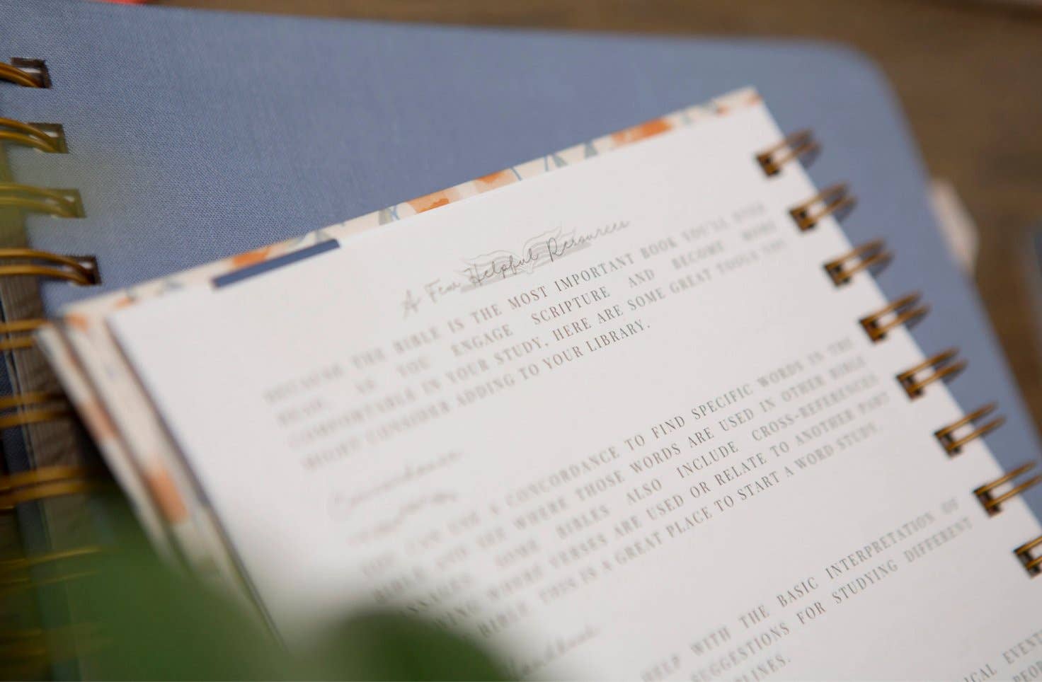 Chosen & Cherished - Wholesale Journal/Diary - Bible Journal for Verse by Verse Bible Study7