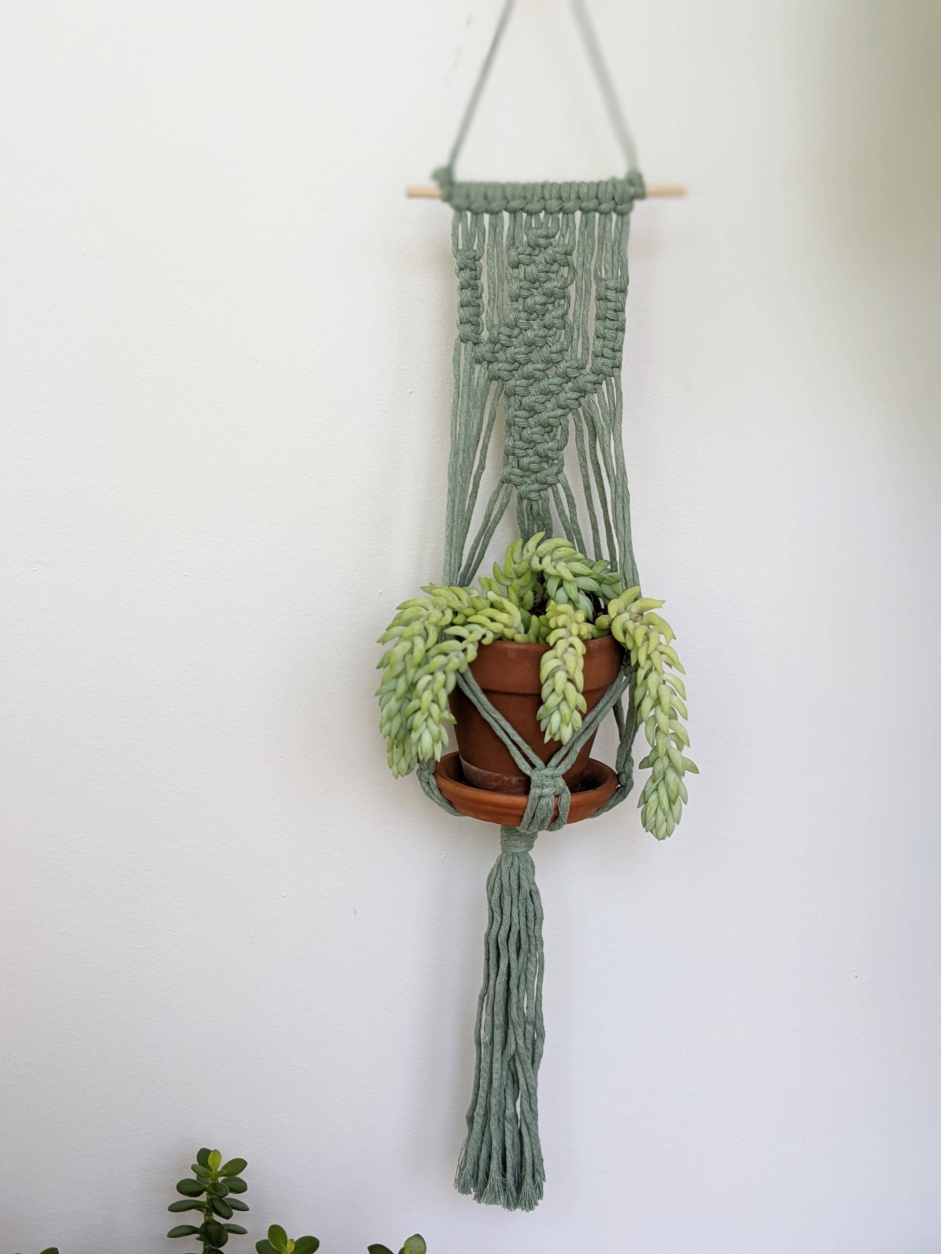 Leaf and Cord - Wholesale Hanging Planter - Macrame Cactus Plant Hanger1