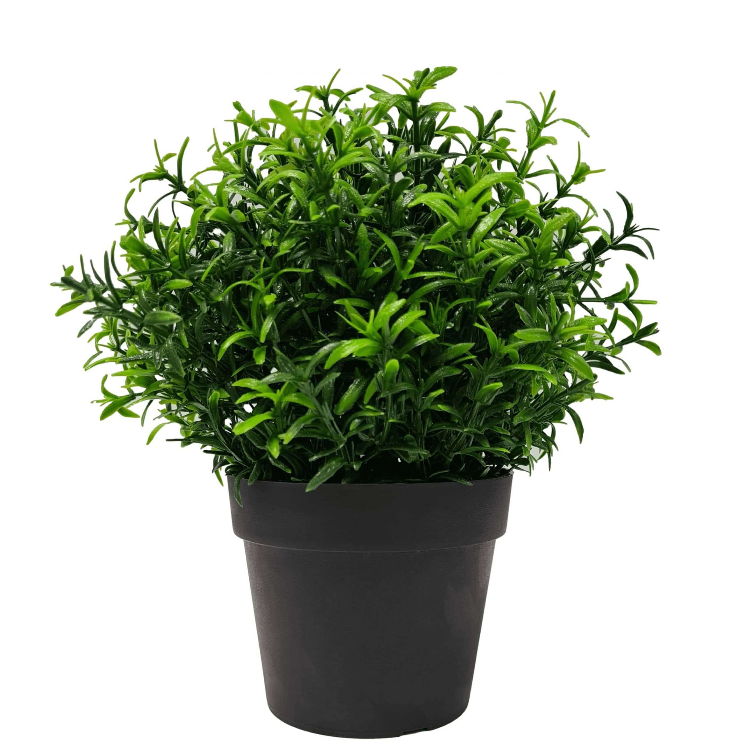 Designer Plants AU - Wholesale Artificial Plant - Small Potted Artificial Bright Rosemary Herb Plant UV Resistant 20cm0
