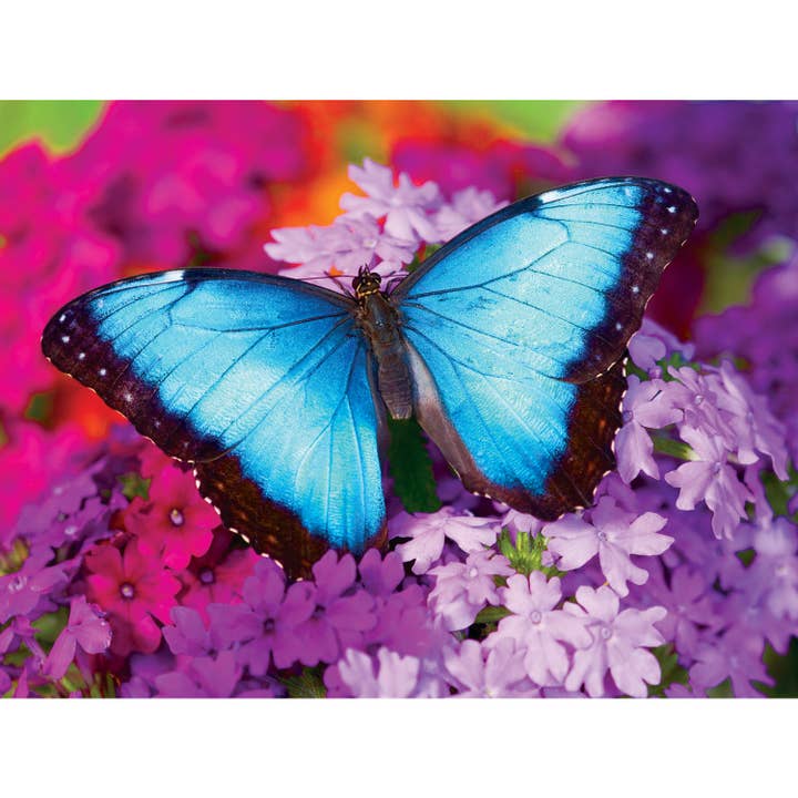 Masterpieces Puzzles - Wholesale Puzzle - Adult - Brilliance - Iridescence 550 Piece Puzzle