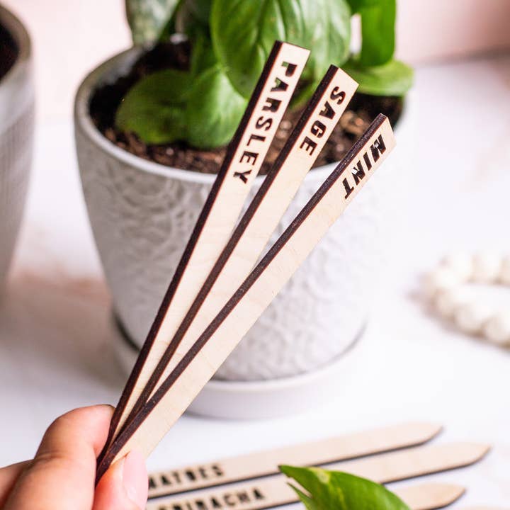 The Print Pantry - Vente Piquets de jardin/pelouse - Marqueurs de nom de plantes en bois4