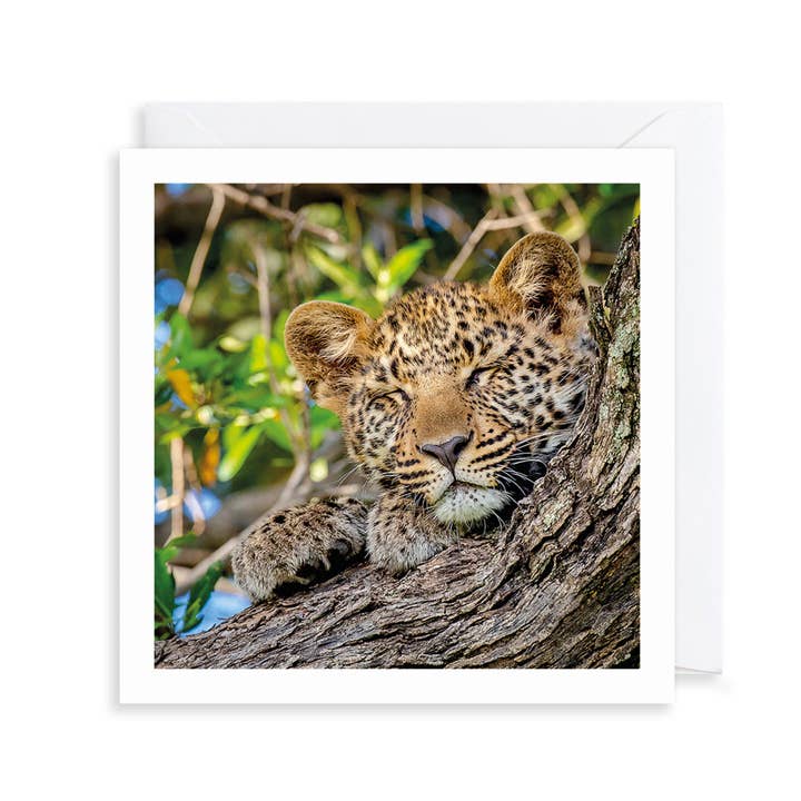 Leopard Cub Photograph Birthday Card for wholesale by The Art File