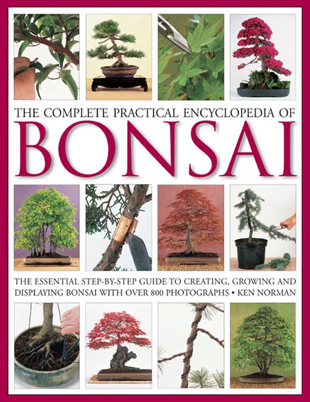 Simon & Schuster - Wholesale Home & Garden Book - Complete Practical Encyclopedia of Bonsai by Ken Norman0