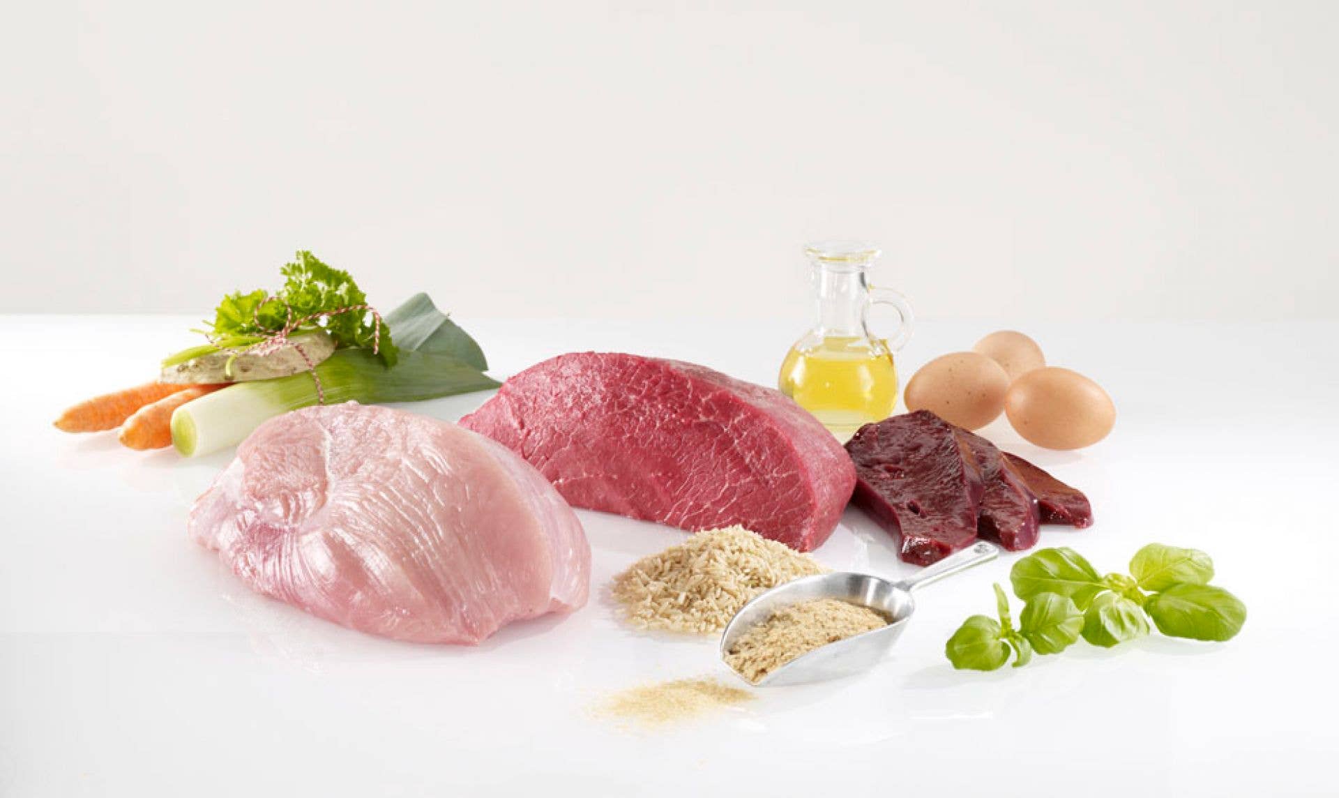 WESTHO - Wholesale Pet Food - Dog - Energy dog food 800g (with 75% Black Angus beef & turkey)1