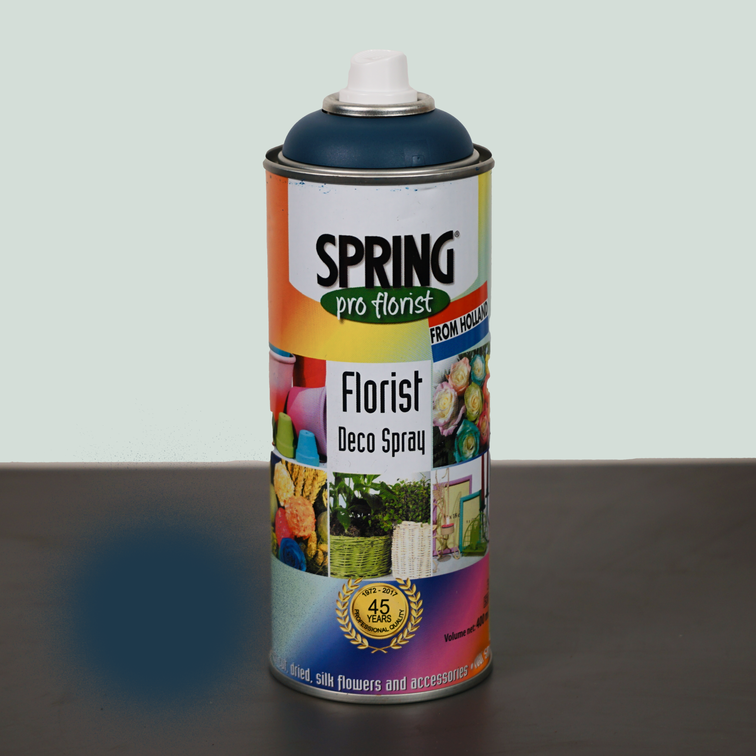 All Occasions Wholesale – wholesale Fresh cut flowers – Floral Spray Paint6