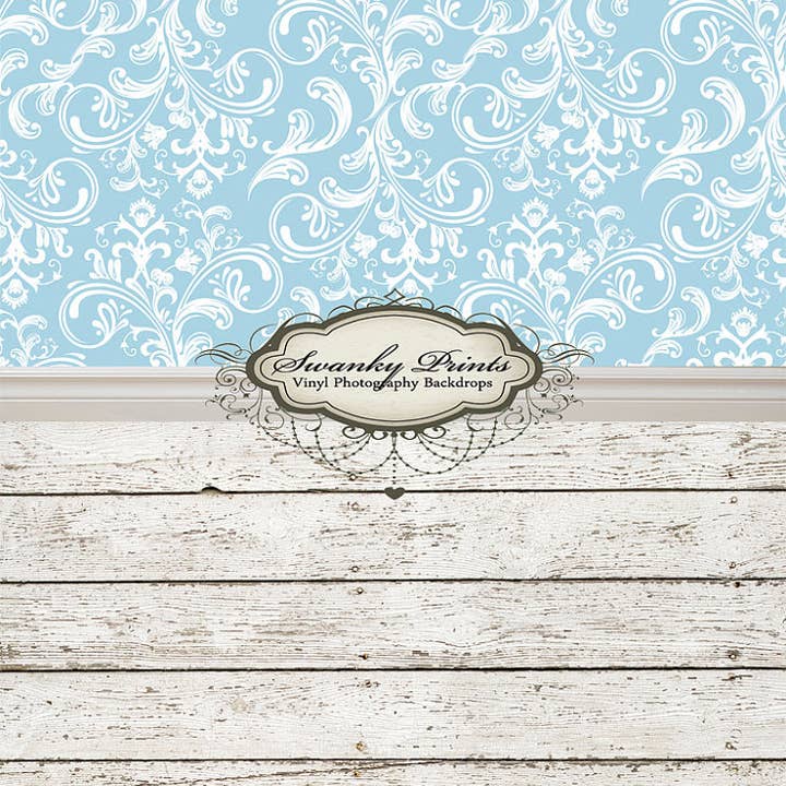 ALL IN ONE 48" x 99" Vinyl Photography Backdrop / Light for wholesale by Swanky Prints