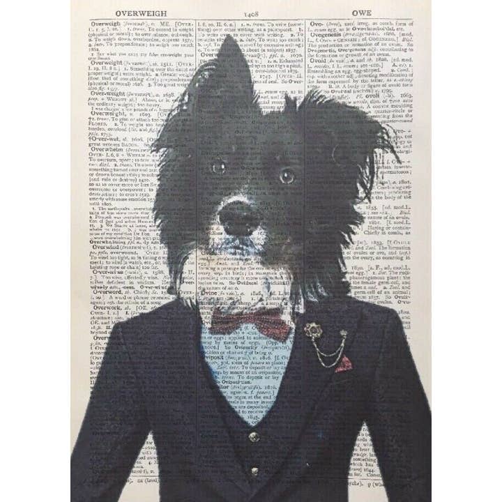Impressão artística de parede do dicionário Border Collie - arte de parede peculiar por atacado de Parksmoonprints