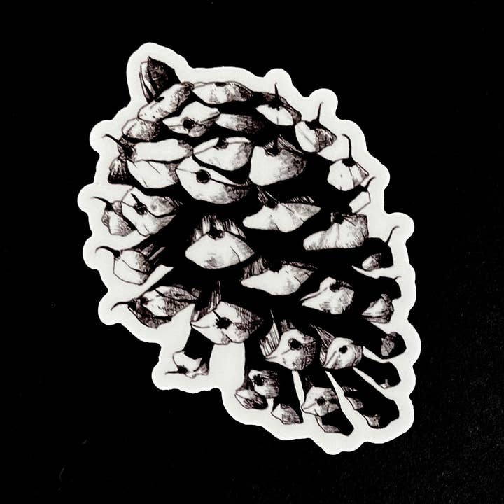 Adhesivo de vinilo con forma de cono de pino erizado dibujado a mano, impermeable para venta al por mayor de Tony Rubsam Illustrations