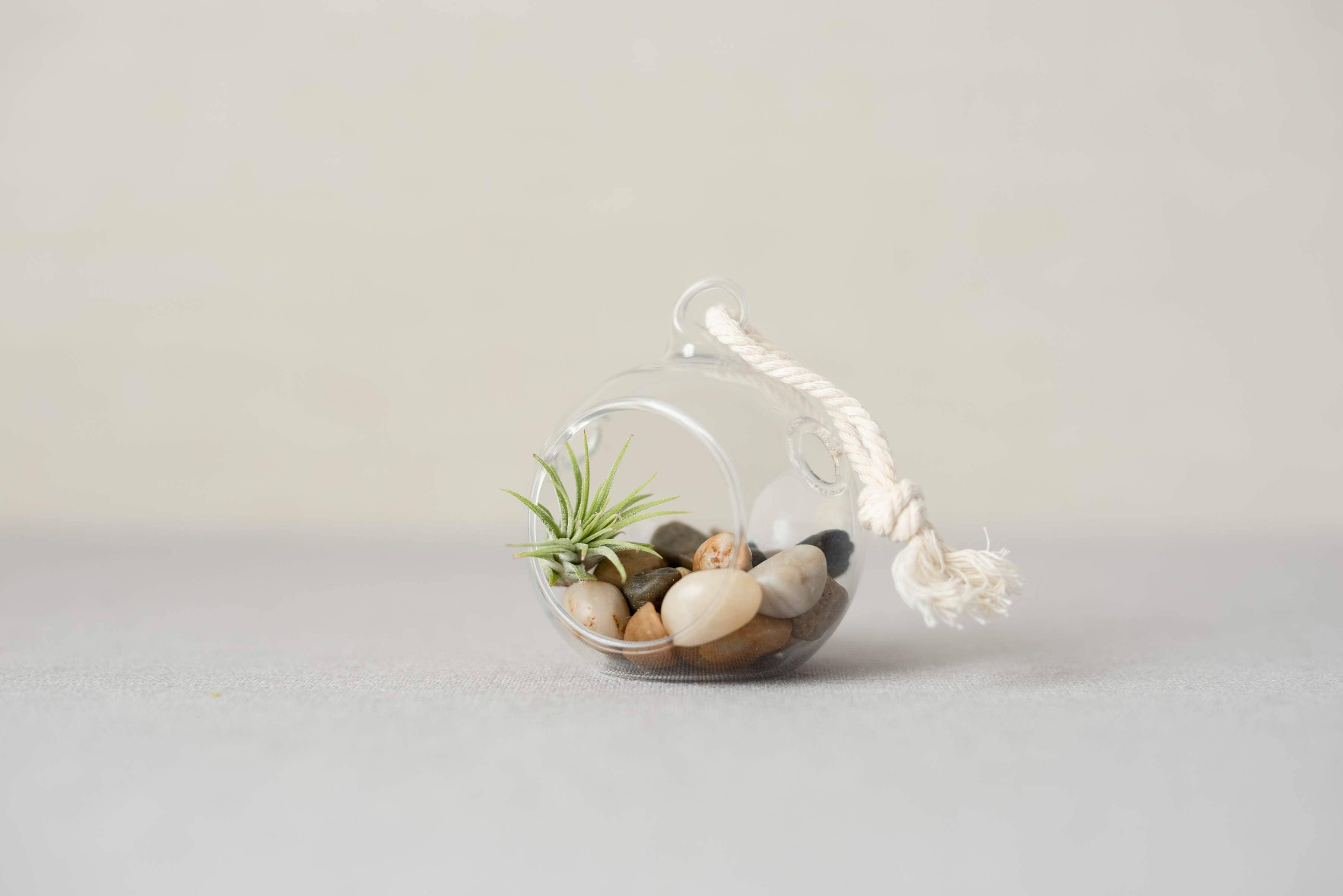 The Simply Crafty Shop - Wholesale Terrarium - Mini Orb Air Plant Terrarium Kit - Semi-Precious Stone54
