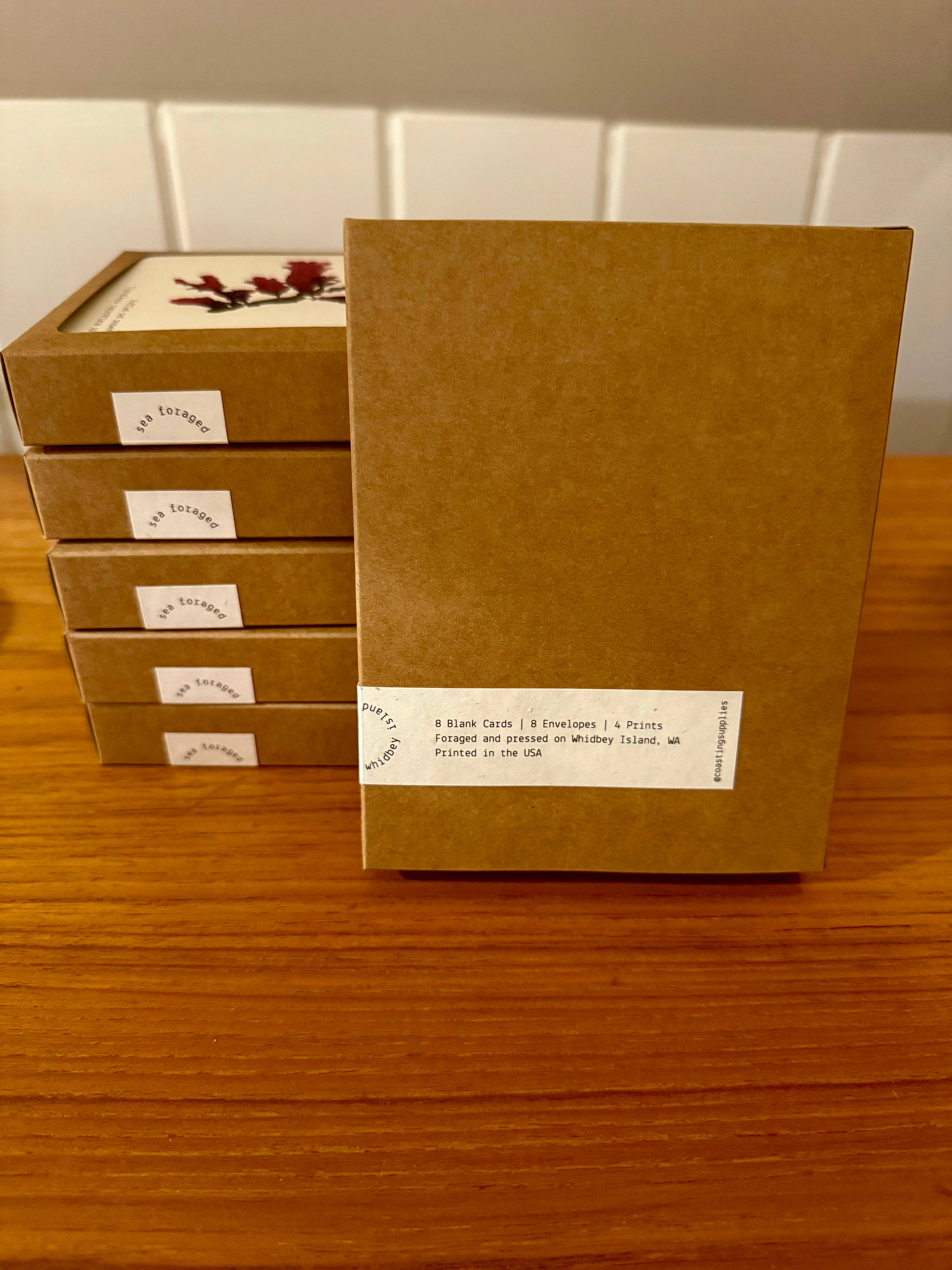 Coasting Supplies - Wholesale Everyday Greeting Card - Sea Foraged: set of 8 cards2