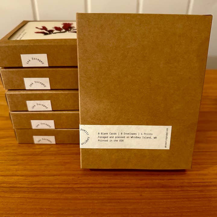 Coasting Supplies - Wholesale Everyday Greeting Card - Sea Foraged: set of 8 cards2