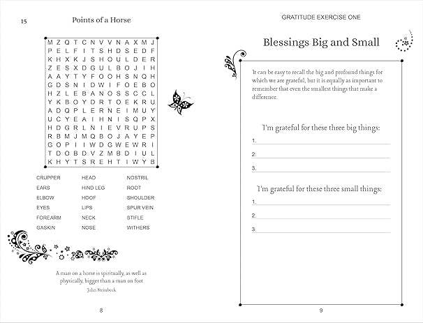 Texas Bookman – wholesale Colouring and activity book – adult – Wordsearches For Gratitude: Puzzles to Inspire Thankfulness3