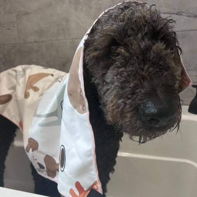 Super Absorbent Microfiber Large Dog Towel and other Purchase Wholesale dog grooming towels. Free Returns & Net 60 Terms on Faire trending on Faire.