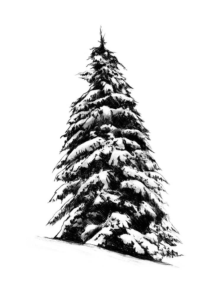 Stampa artistica Snowy Pine Tree per la vendita all'ingrosso da parte di Kellie Cooke Art