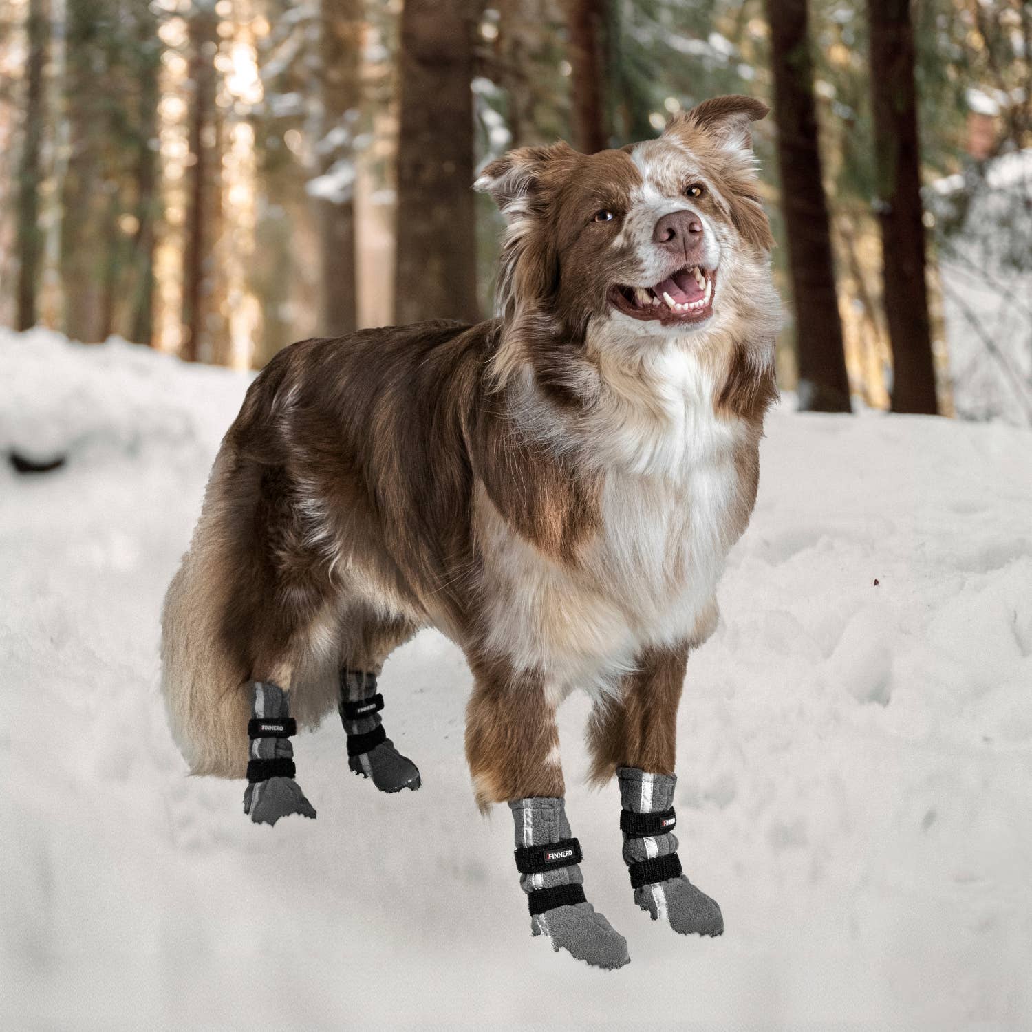 FINNERO - Wholesale Pet Boots - Dog - FINNERO HALLA REFLECTIVE Booties For Dogs 4pcs/pac, 3 Colors19