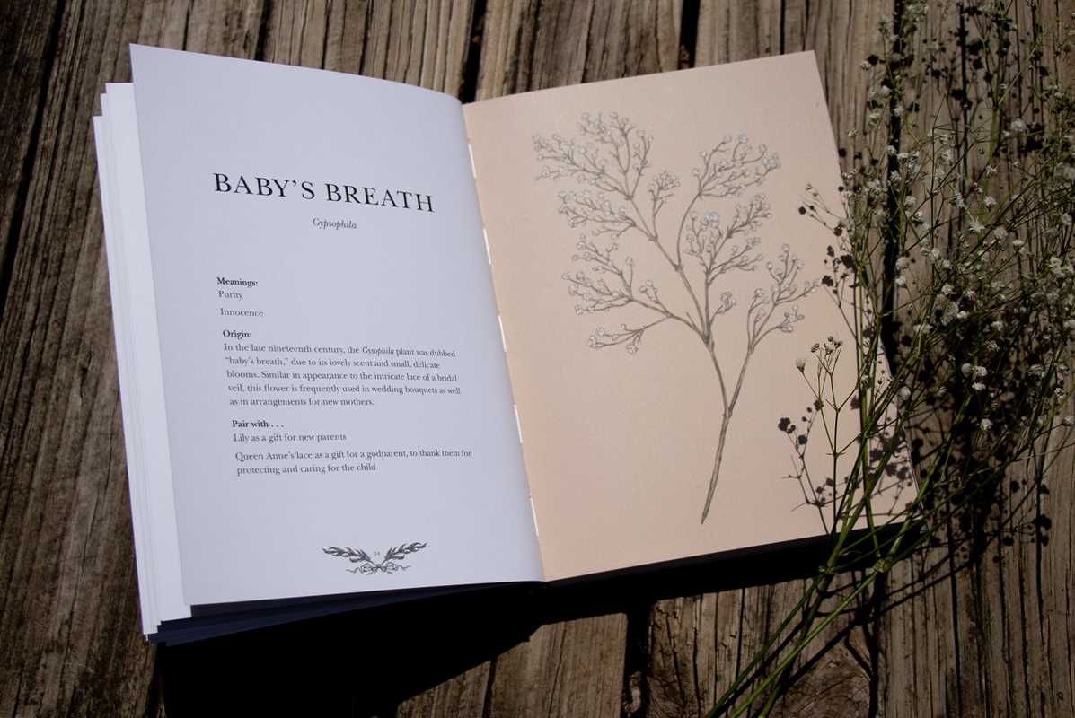 Simon & Schuster - Wholesale Reference - Floriography by Jessica  Roux9