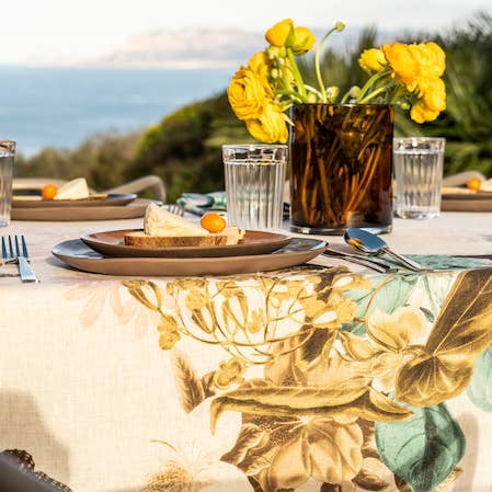 Tablecloths “Plates” by Vito Nesta for wholesale by The Napking