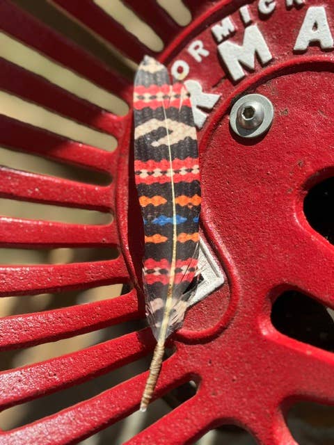 Buckaroo Supply Company - Wholesale Hat Accessory - Women's - Dream Weaver Hat Feather - Western Hat Accessory 1