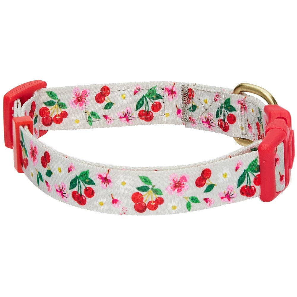 Blueberry Pet - Wholesale Pet Collar - Dog - Summer Floral Dog Collar in Pastel Colors for Girl Dogs5