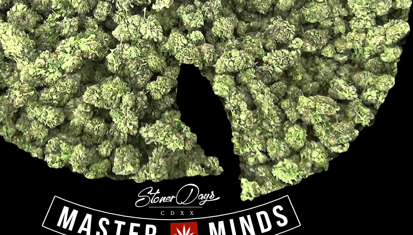 StonerDays Apparel - Wholesale Screen Printed T-Shirt - Men's - Wu Tang Long Sleeve5