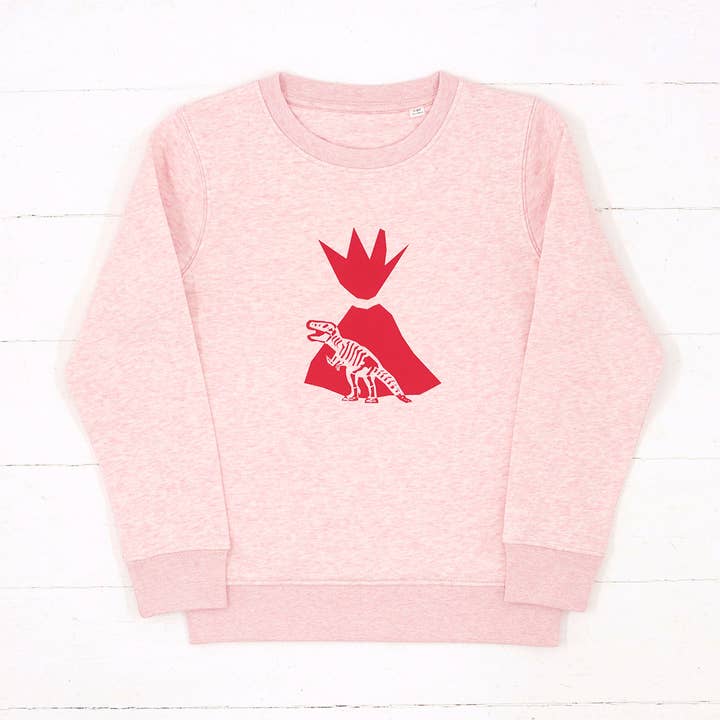 Dinosaur Organic Sweater voor wholesale door Bella + Phoenix