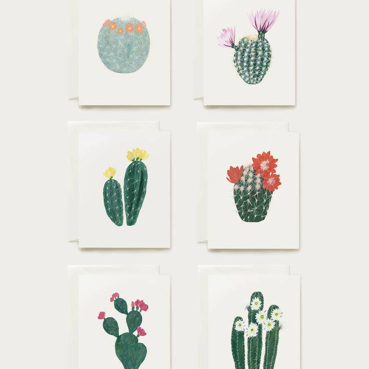Our Heiday – wholesale Stationery/notecard set – Flowering Cacti Series Assorted Card Set