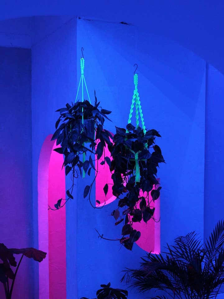 Neon Macramé Plant Hanger | Glow in the Dark for wholesale by Soul of the Party