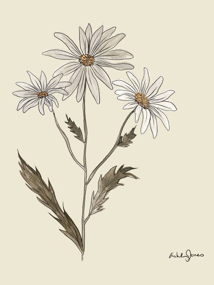 Daisy Art Print for wholesale by Covered With Art