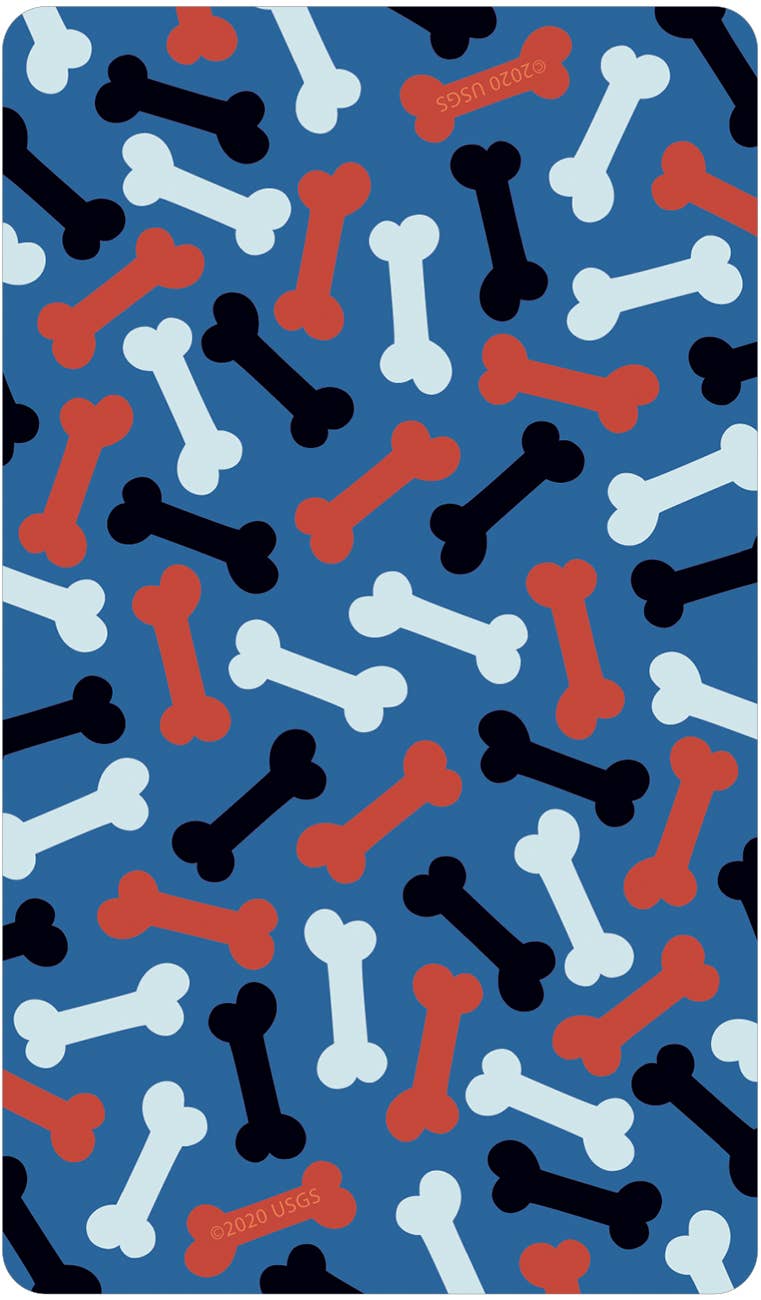 Cardshouse – wholesale Tarot cards – Wise Dog Tarot Cards Us Games Systems5