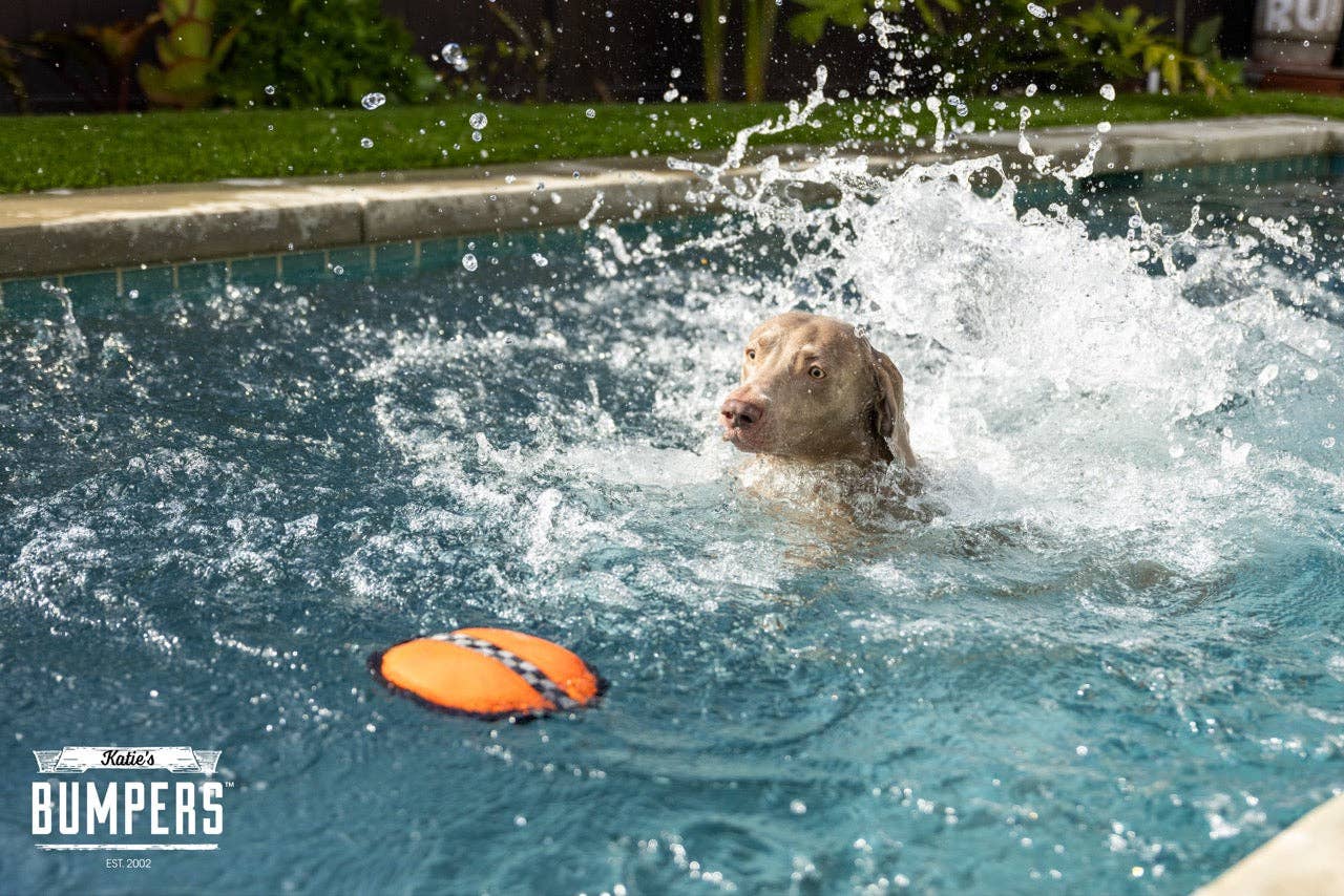 Katie's Bumpers - Wholesale Pet Fetch Ball - Dog - NEW!! KB Frequent Flyer Floater5