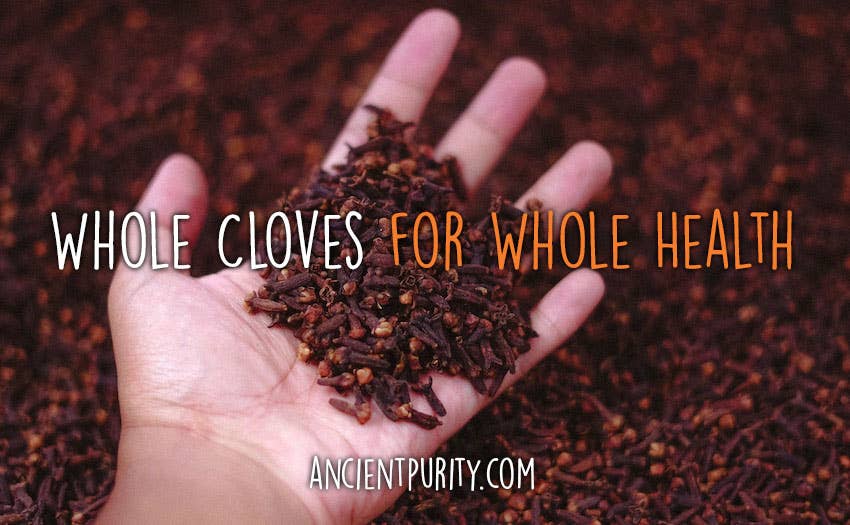Ancient Purity – wholesale Herbs – Cloves Chewable | Whole Gloves | Health Hack1